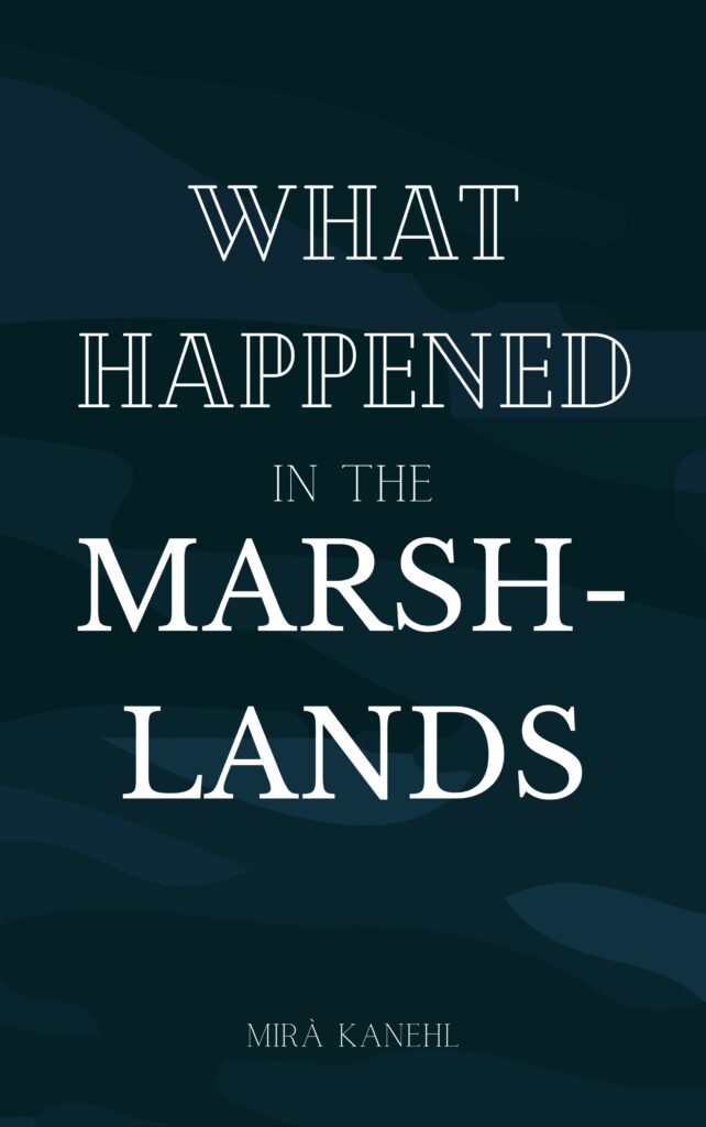 "What Happened in The Marshlands" book cover.