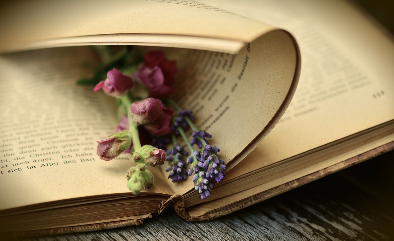 Historical fiction book with bent page and flowers.