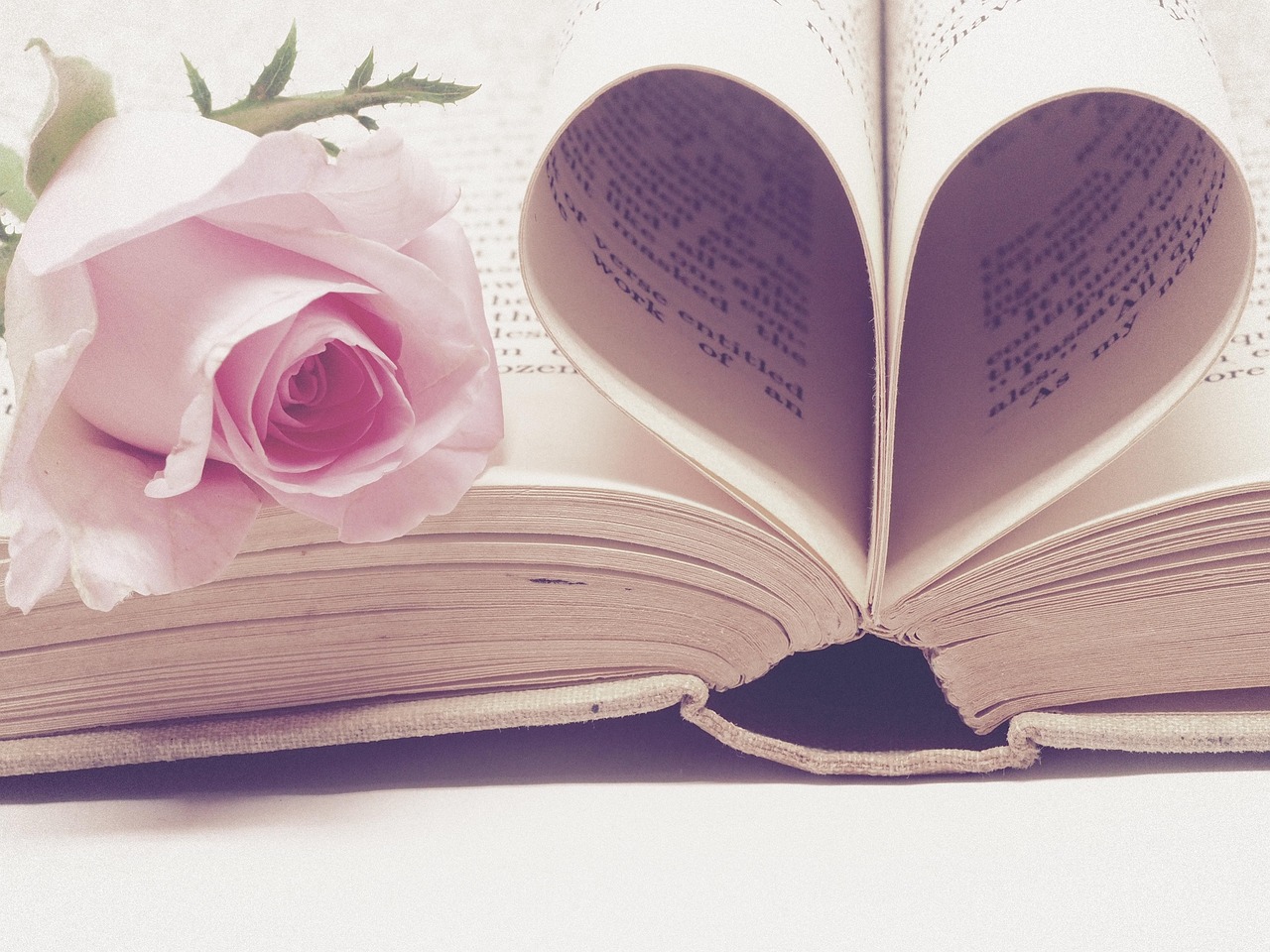 Open book with heart-shaped pages and pink rose.