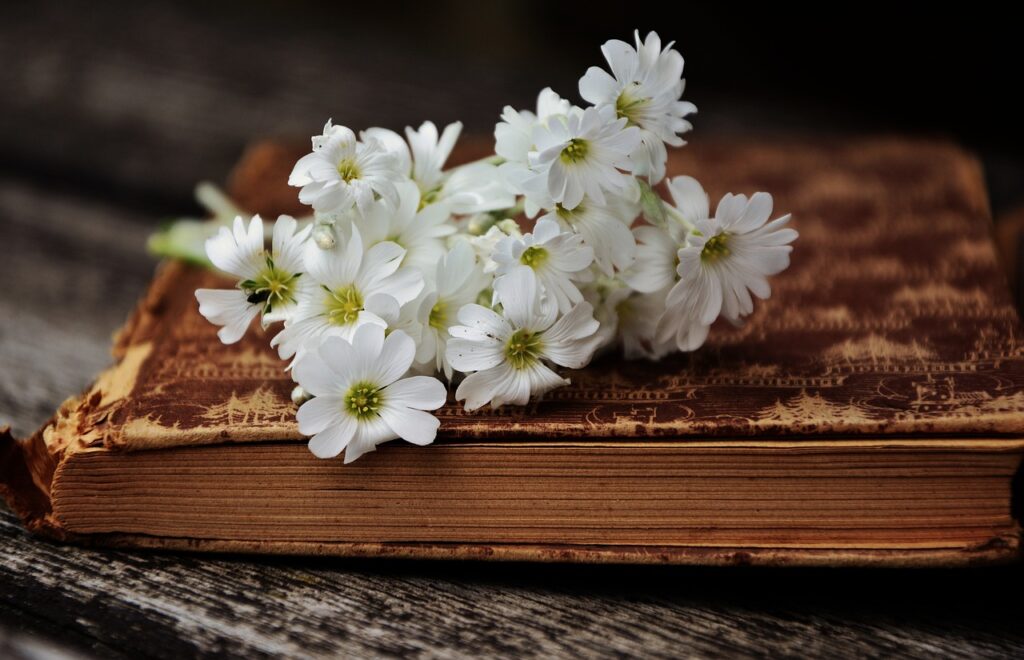 Image of historical fiction book with flowers.