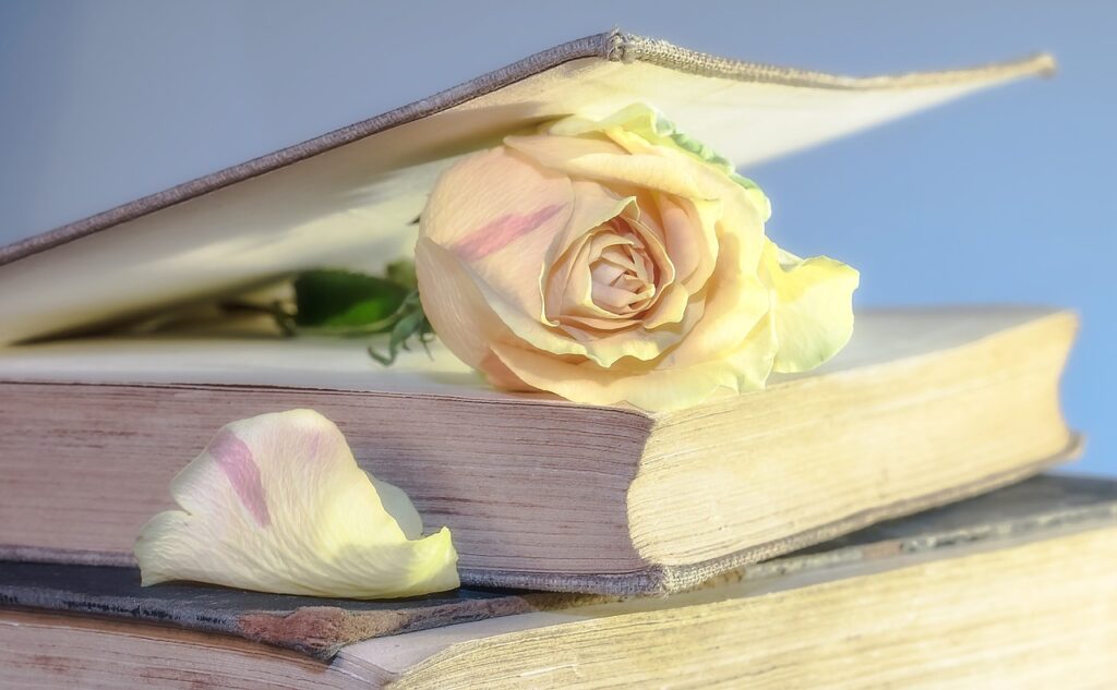 A rose inside book pages.